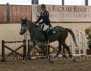 Edwina FZ TosTour2013- S5 3208 : Arezzo, Arezzo Equestrian Centre, Cavalli d'Italia, Edwina FZ, Toscana Tour 2013, foto di Stefano Secchi ©
